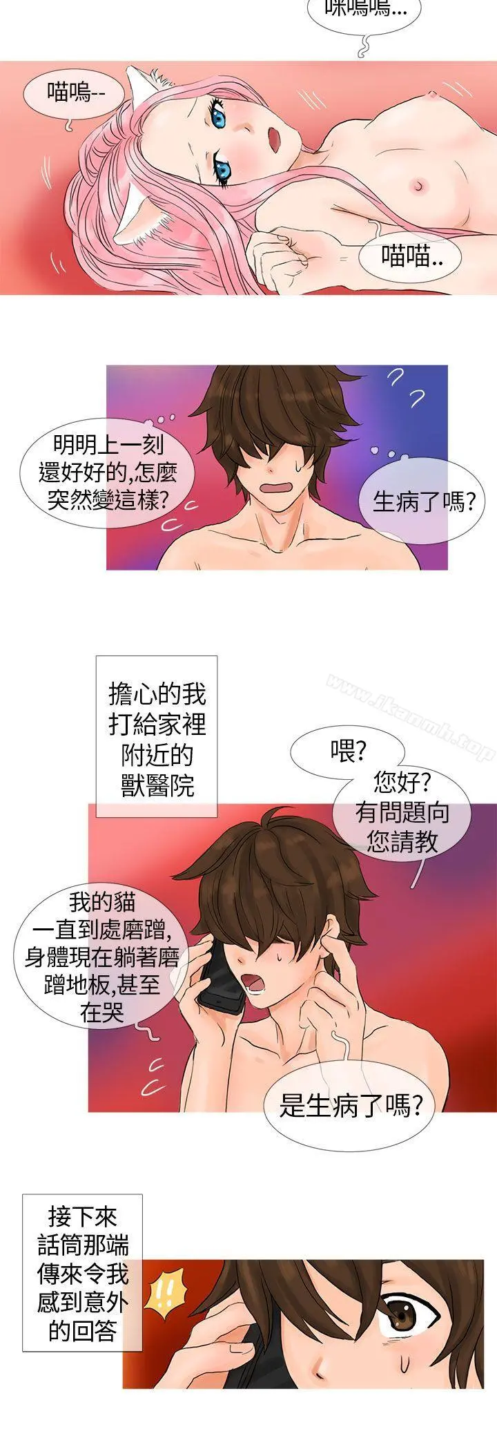 小野猫驯服手册
