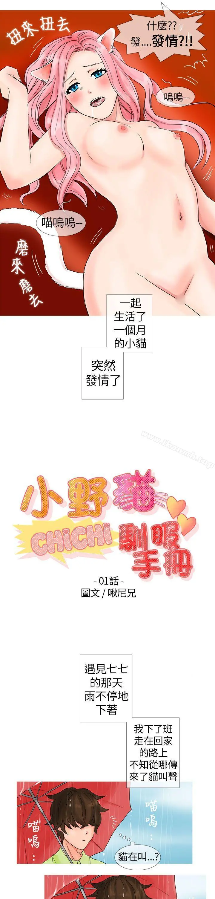 小野猫驯服手册