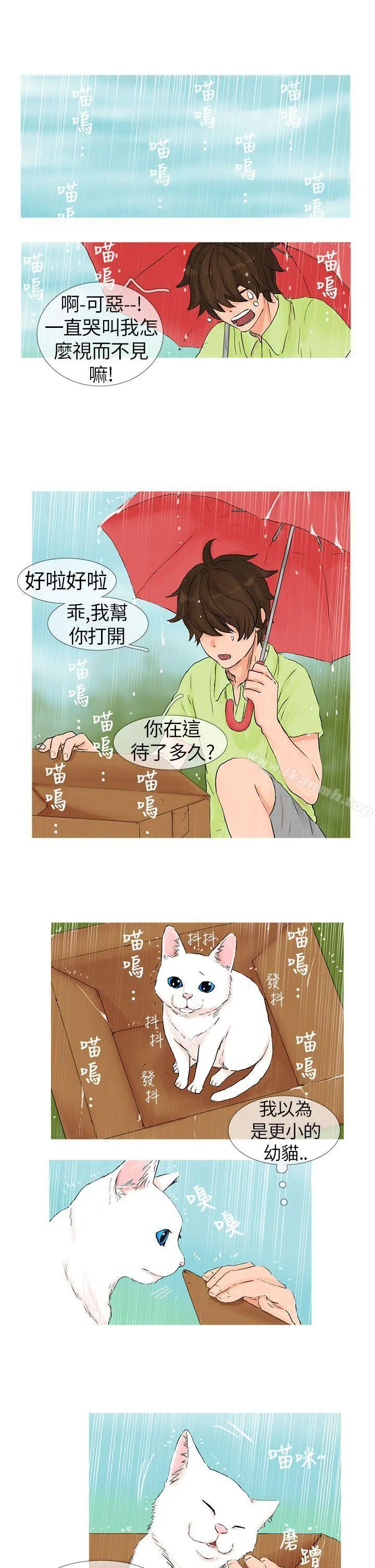 小野猫驯服手册