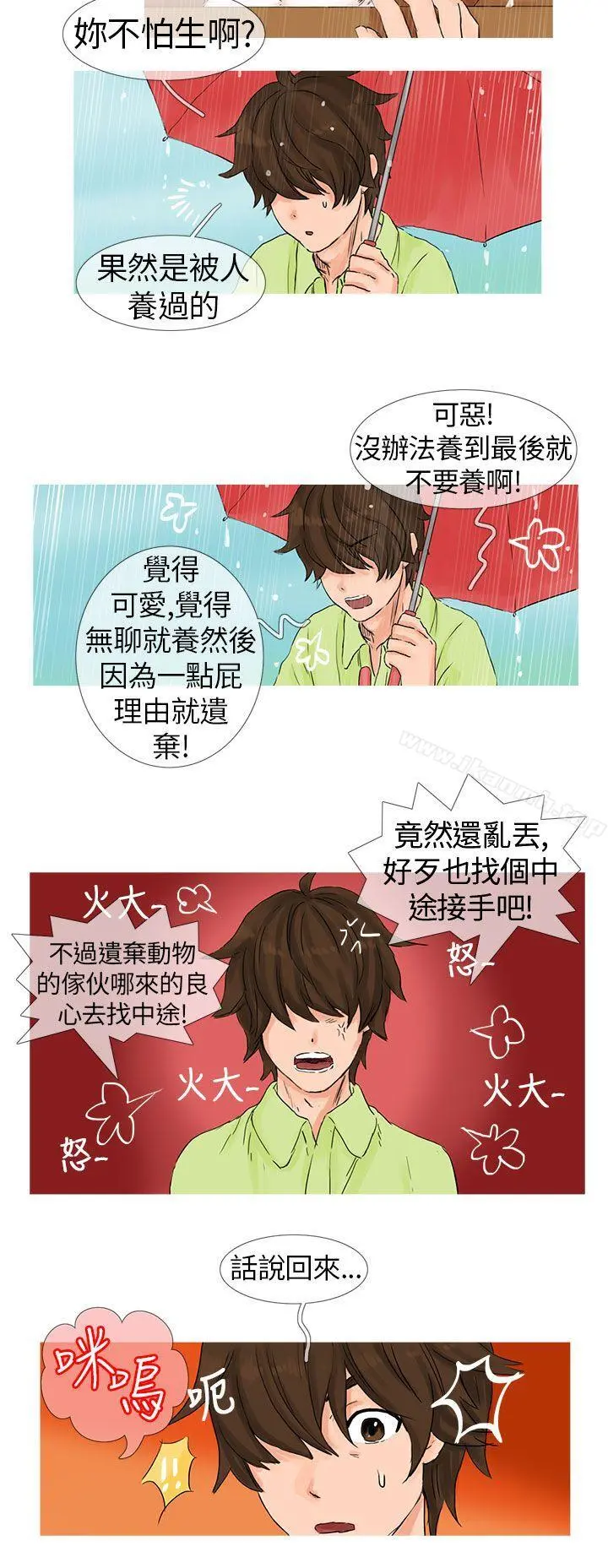 小野猫驯服手册