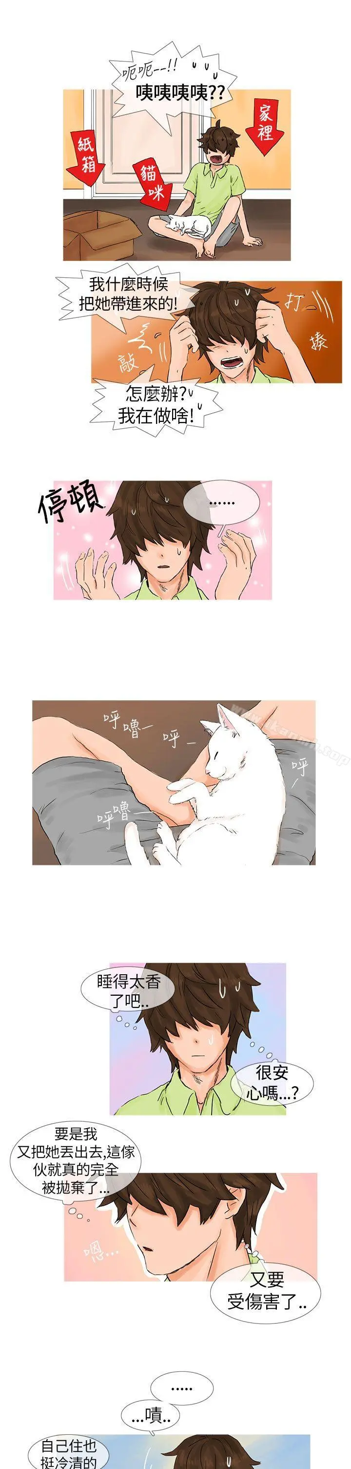 小野猫驯服手册