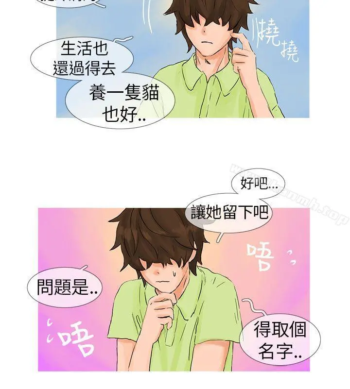 小野猫驯服手册