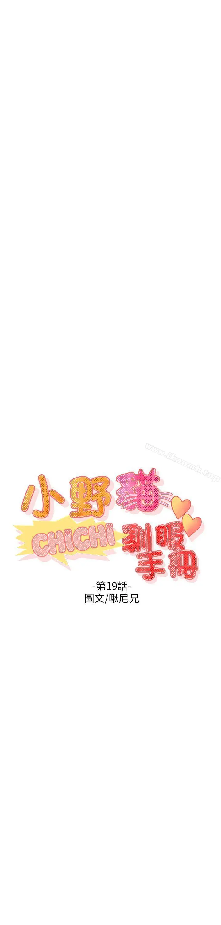 小野猫驯服手册