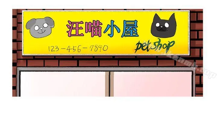 小野猫驯服手册