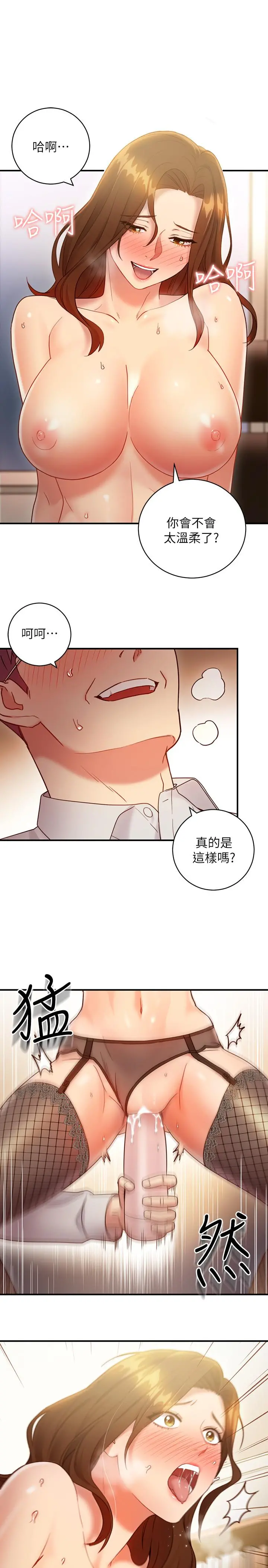 继母的朋友们