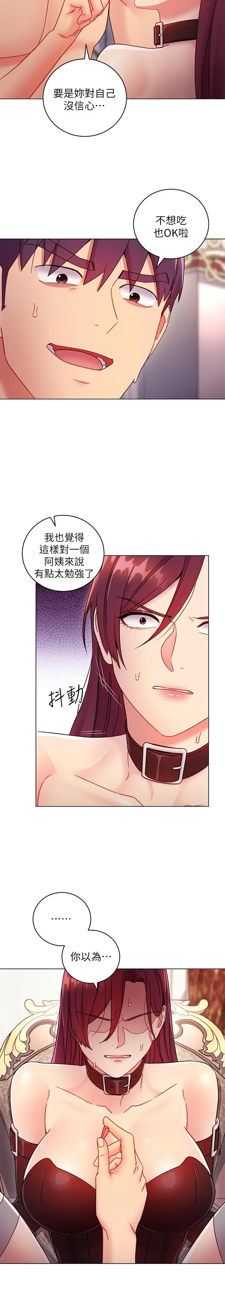 继母的朋友们