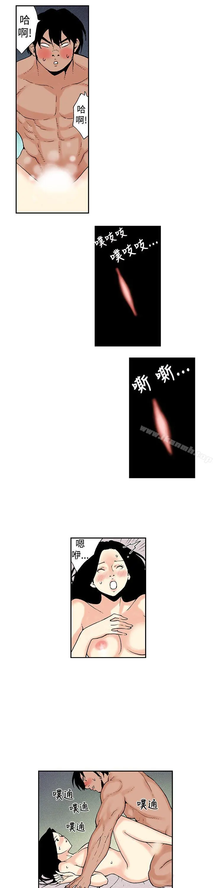 月红夜花(完结)