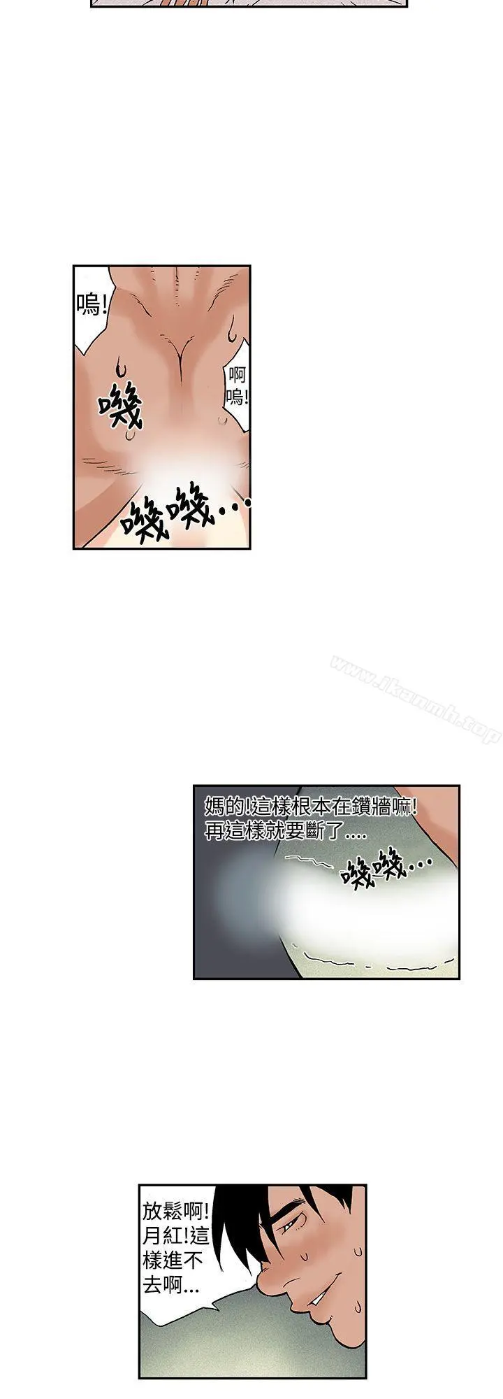 月红夜花(完结)
