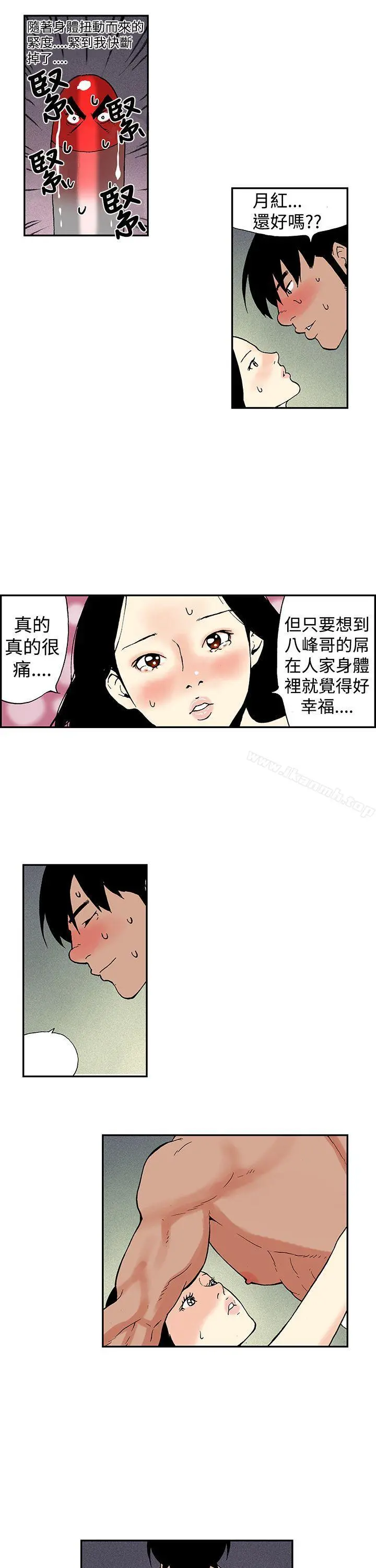 月红夜花(完结)