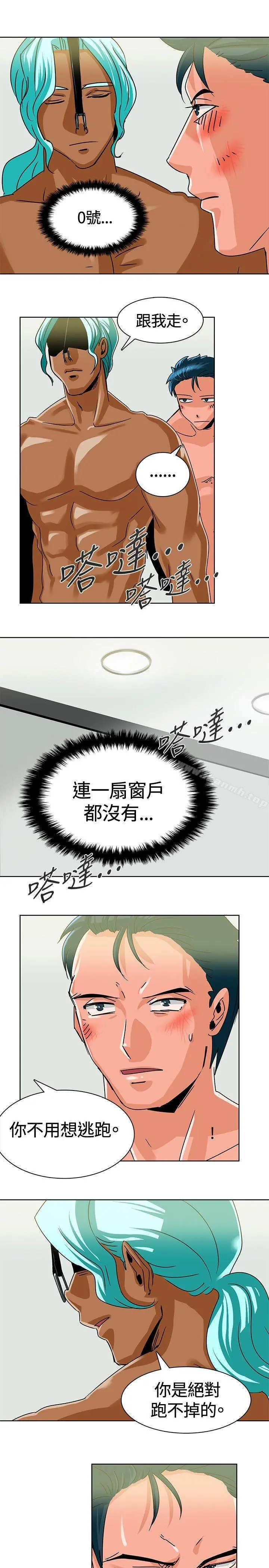 猪仔农场(完结)