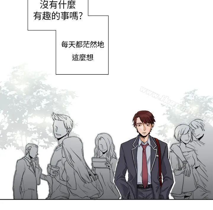 夜花(完结)