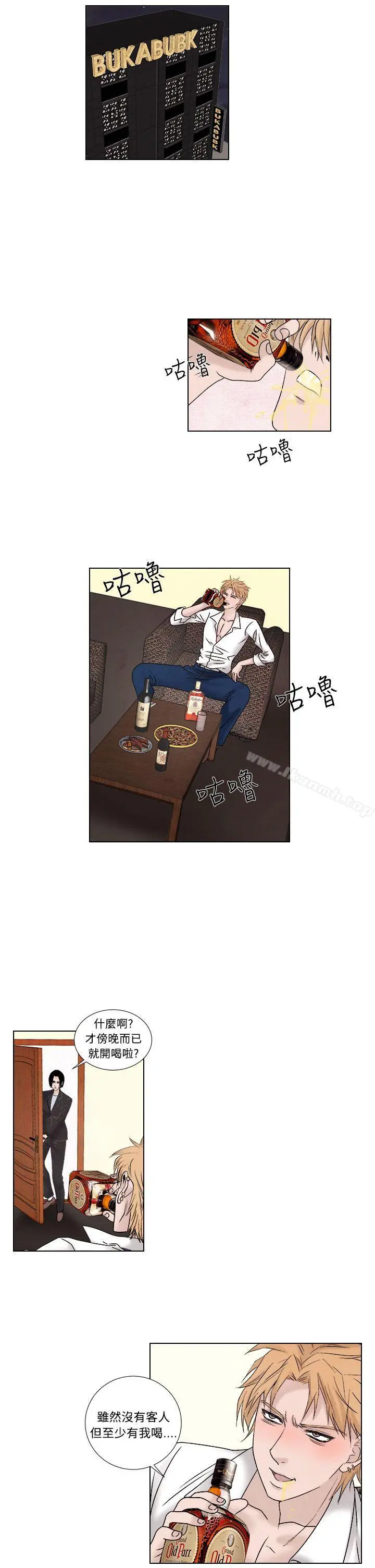 夜花(完结)