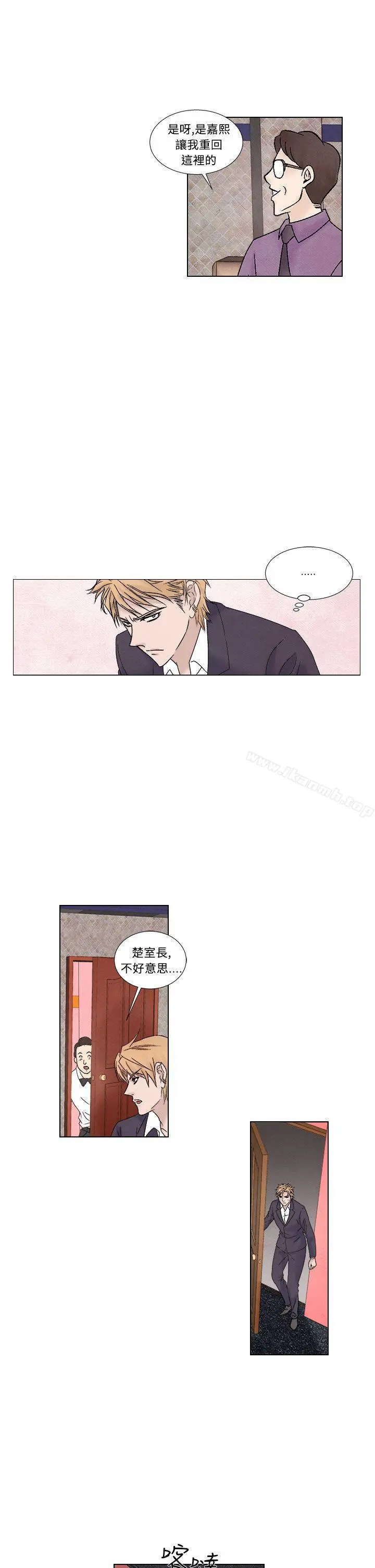 夜花(完结)