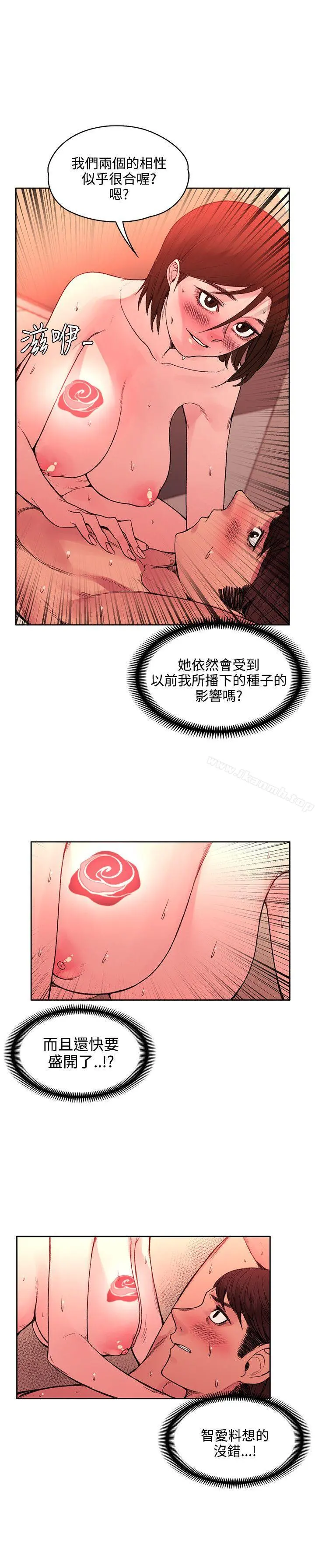 那里的香气