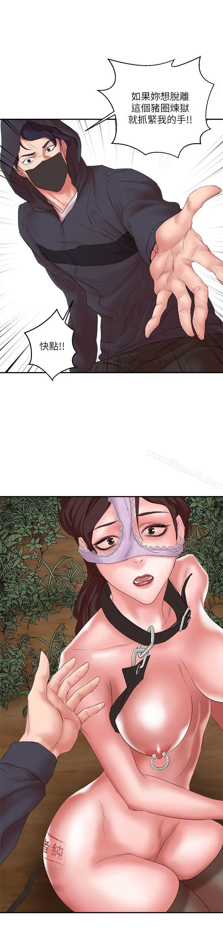 母猪养成计画