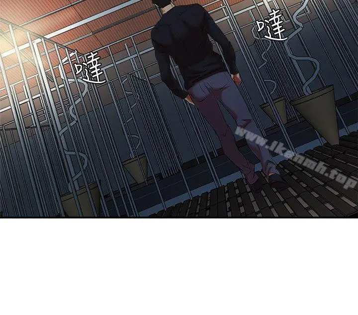 母猪养成计画