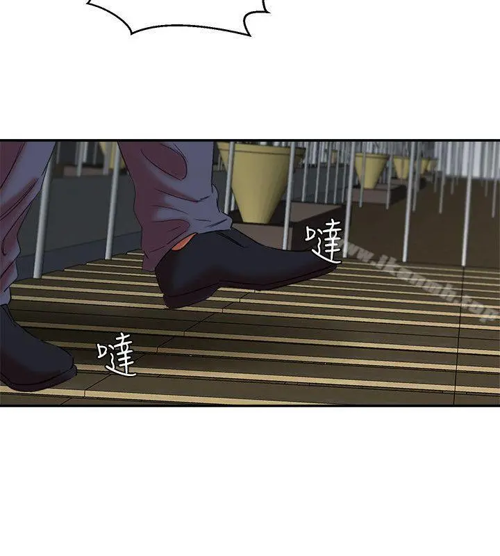 母猪养成计画