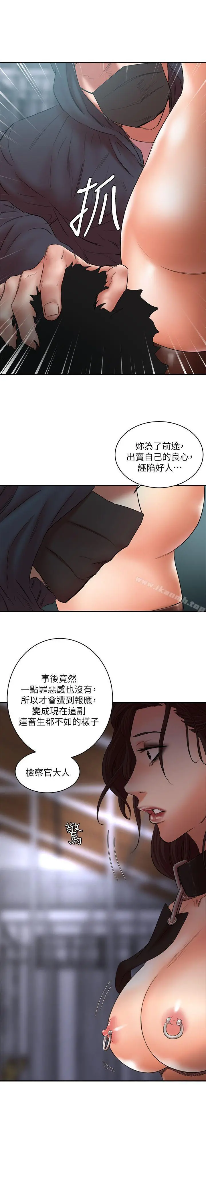 母猪养成计画