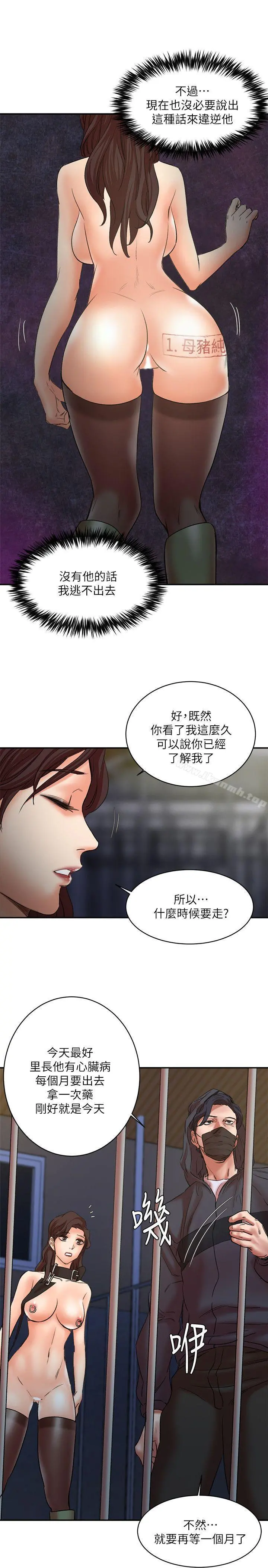 母猪养成计画