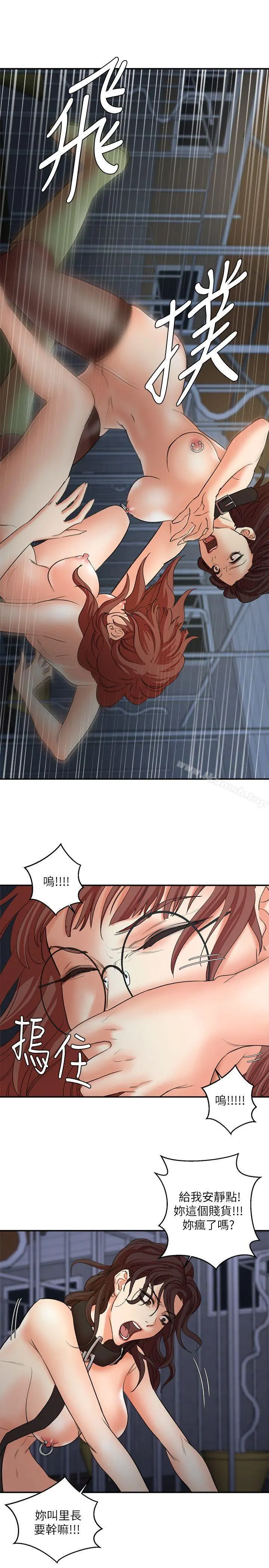 母猪养成计画