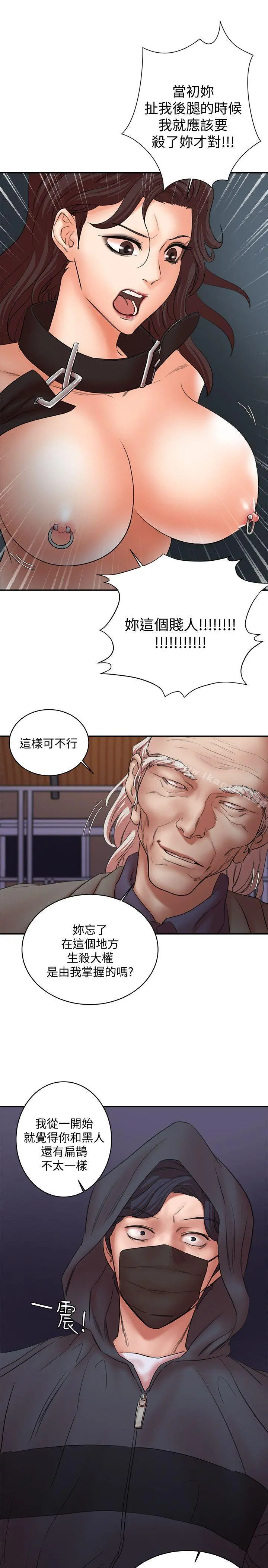 母猪养成计画