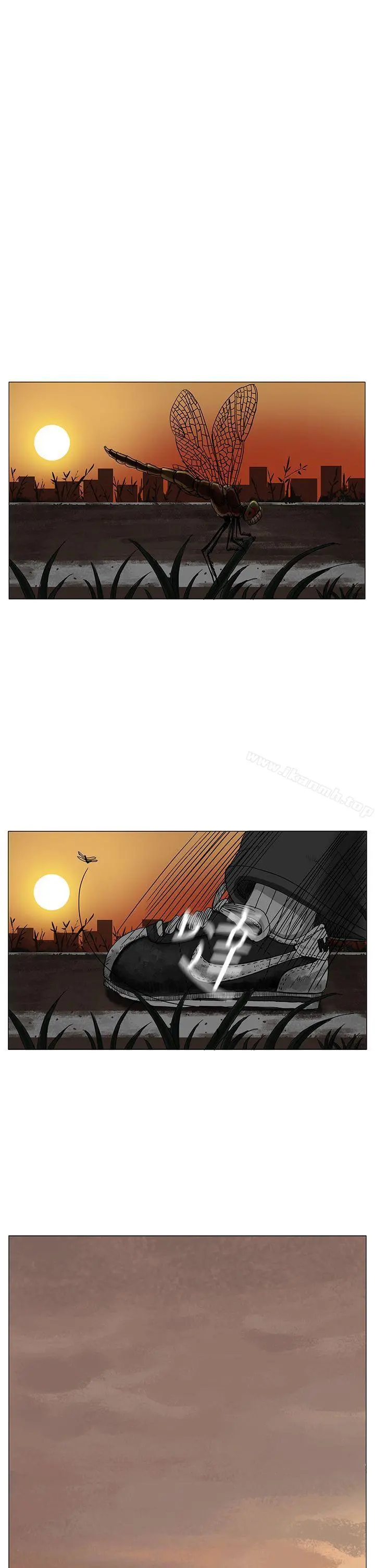 RUN（完结）