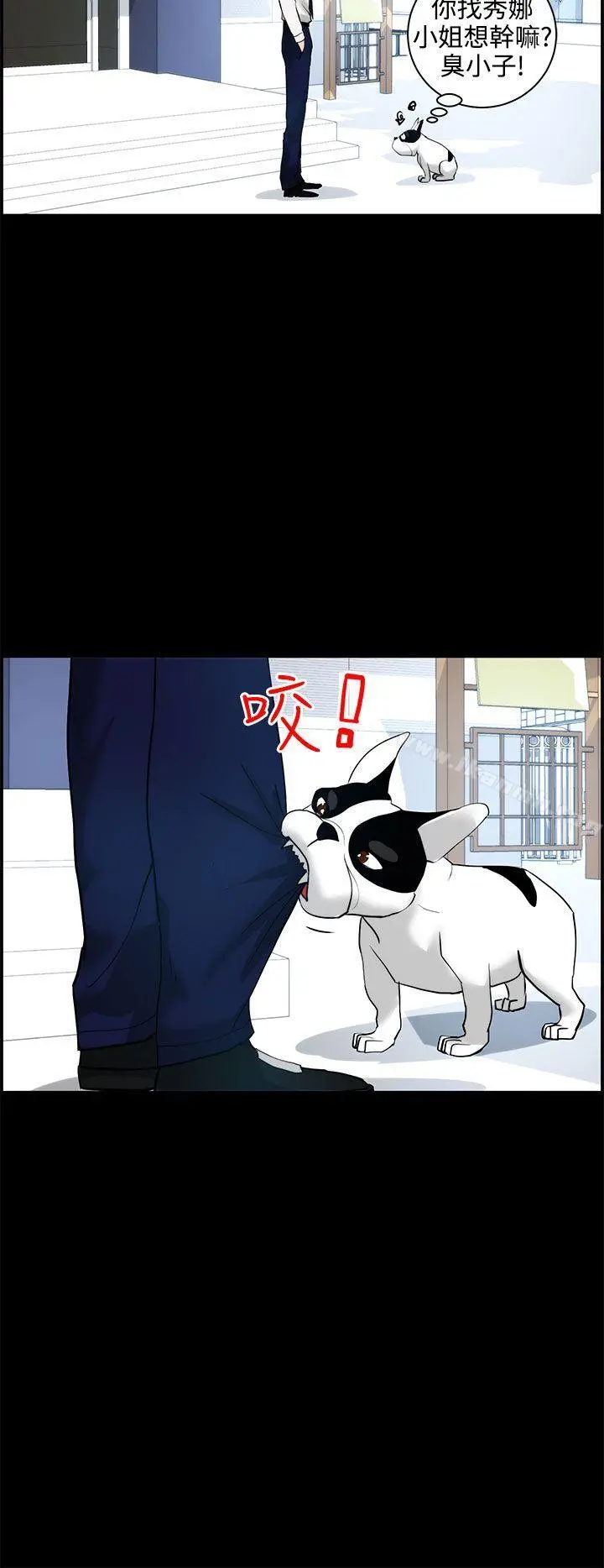 变成狗的男人