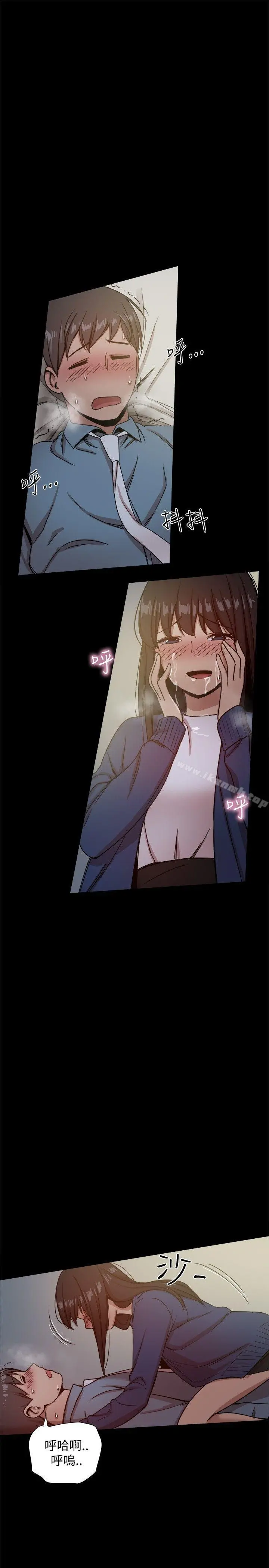 帮派女婿