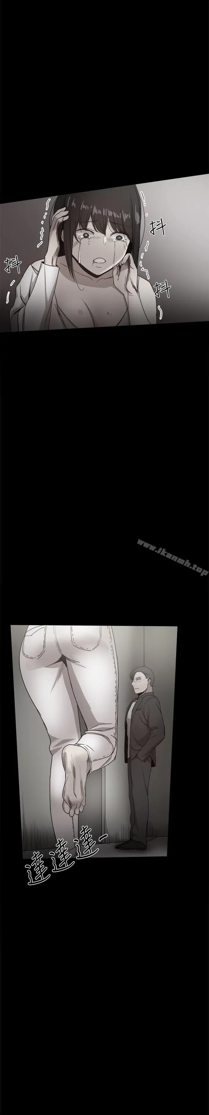 帮派女婿