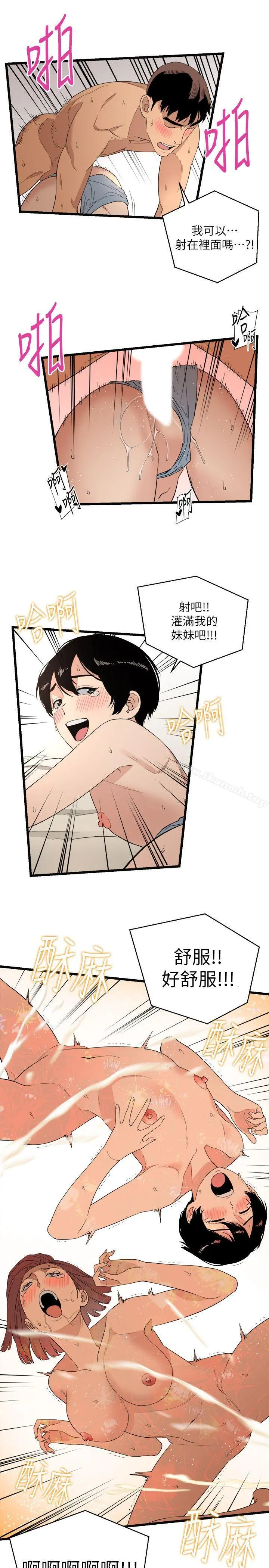 食物链