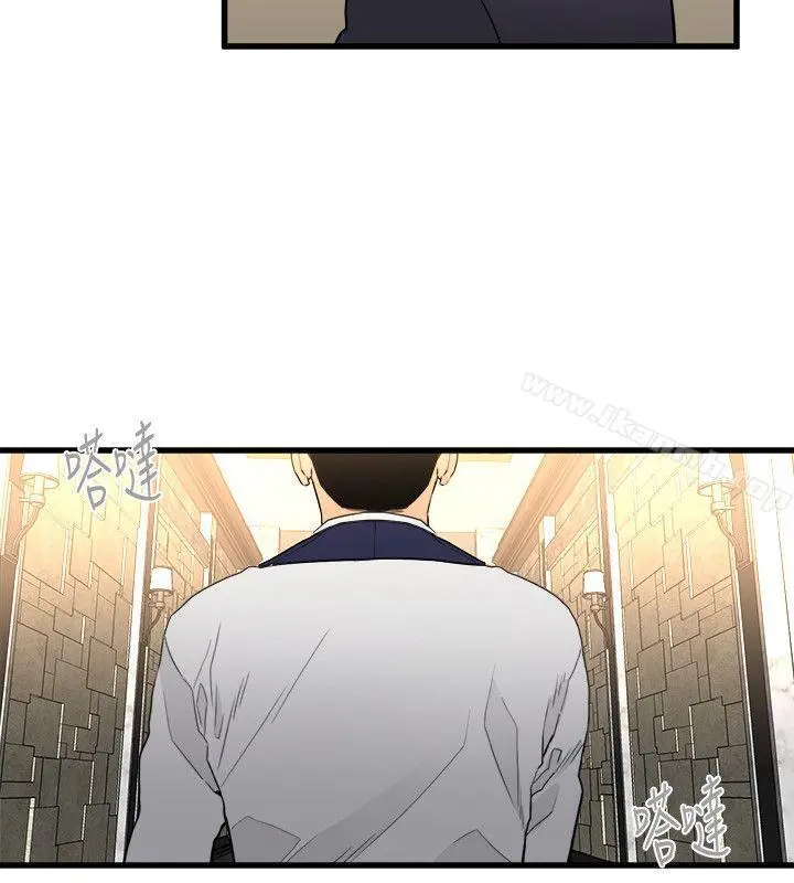 食物链