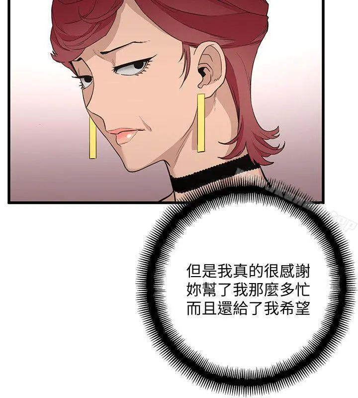 食物链