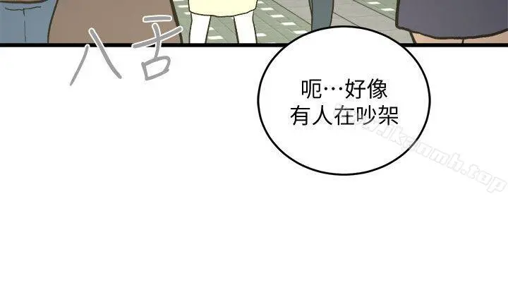 食物链