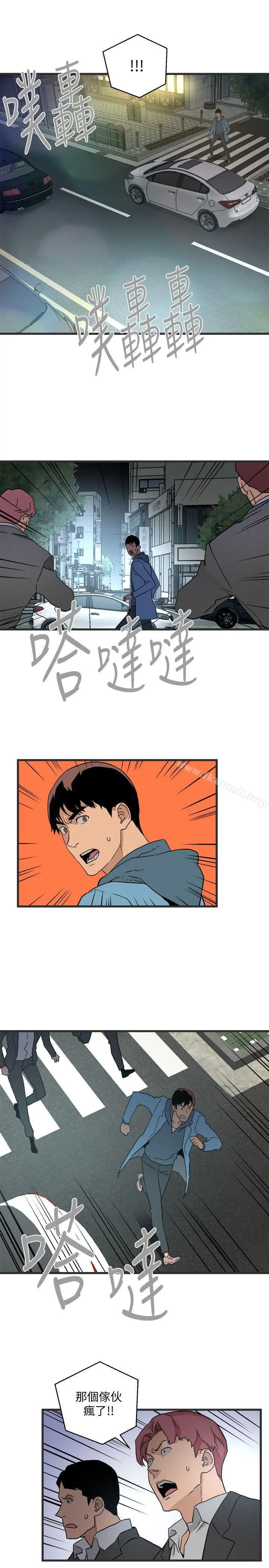 食物链