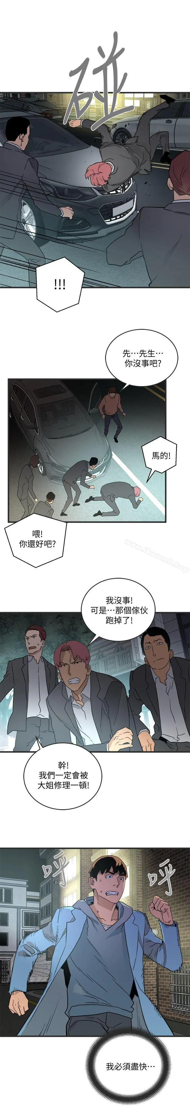 食物链