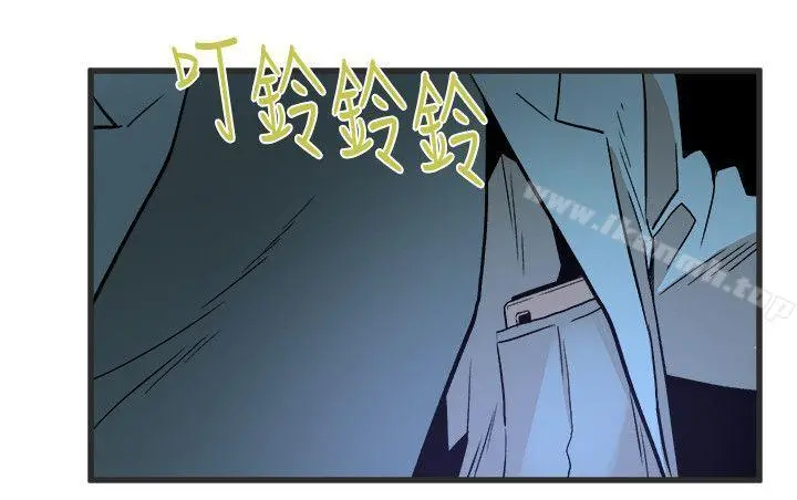 食物链