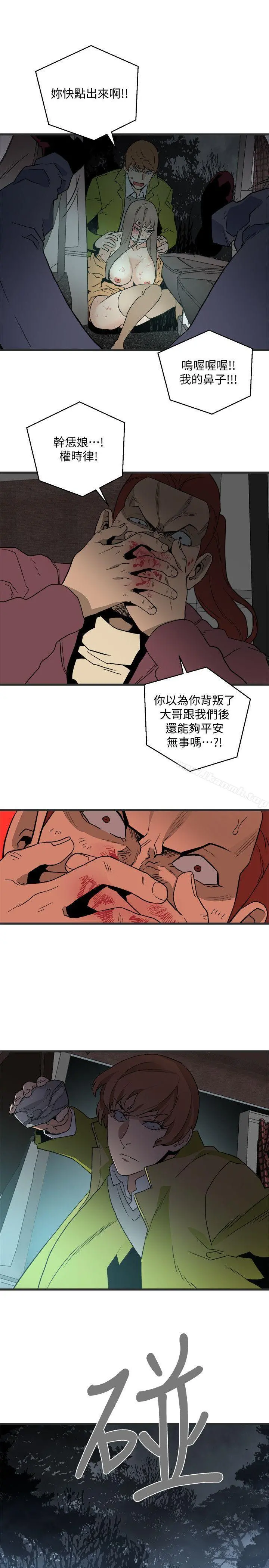 食物链