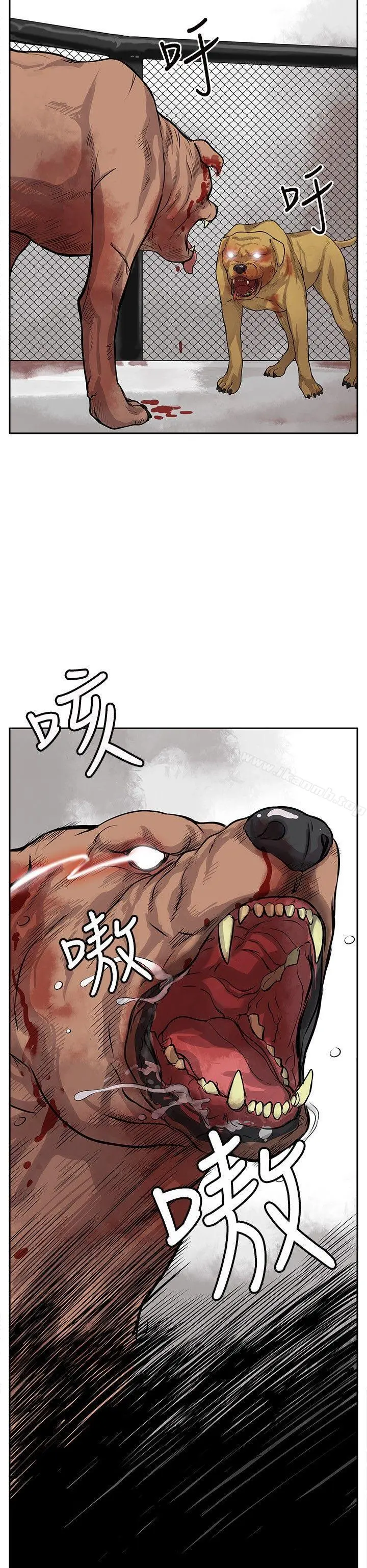 野兽