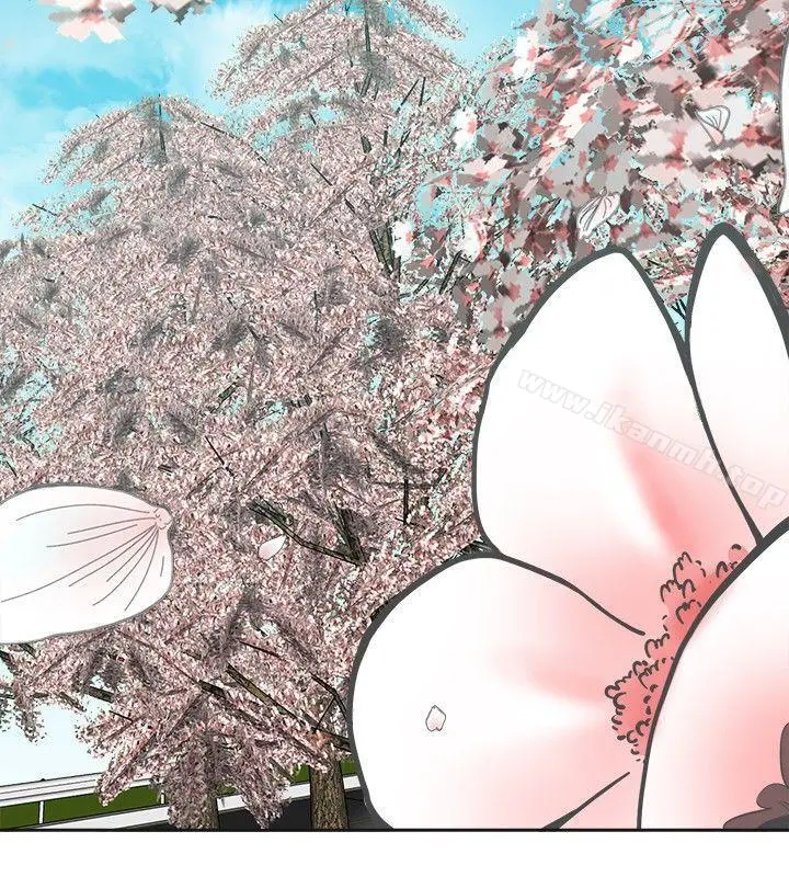 二十再重来