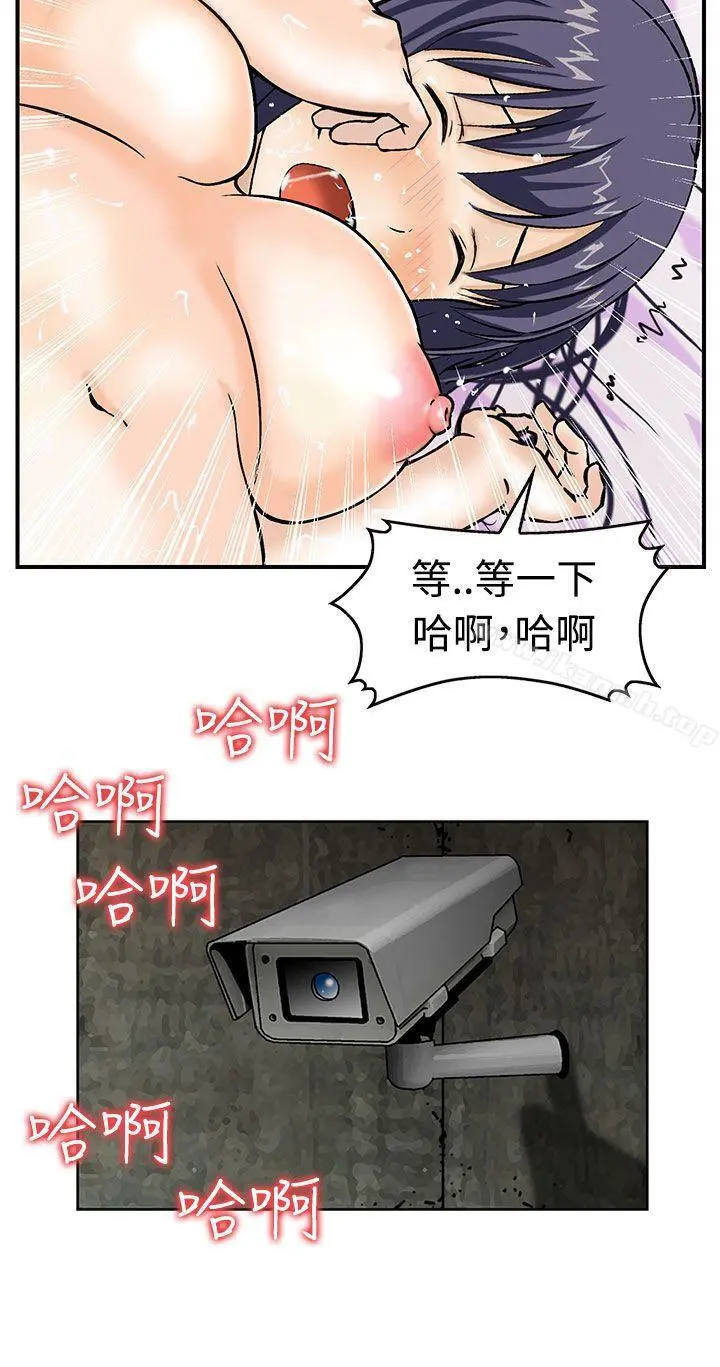 猪圈
