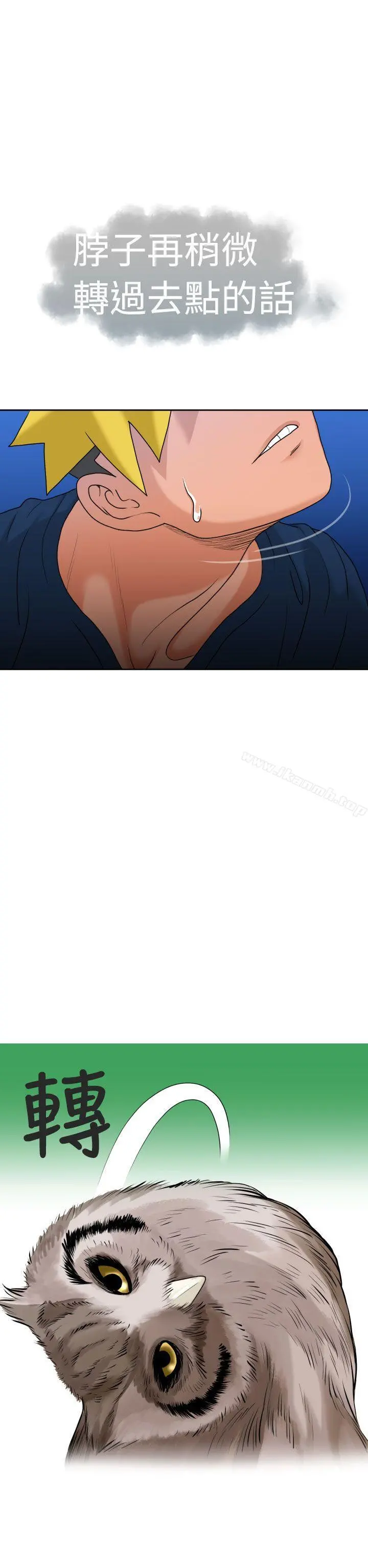 福冈的女人们(完结)