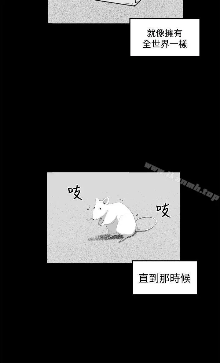 圈套