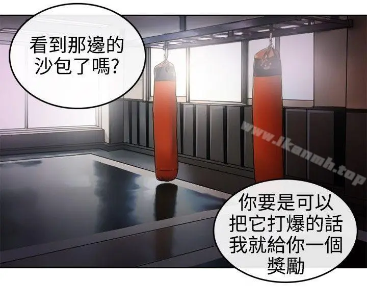 性王之路