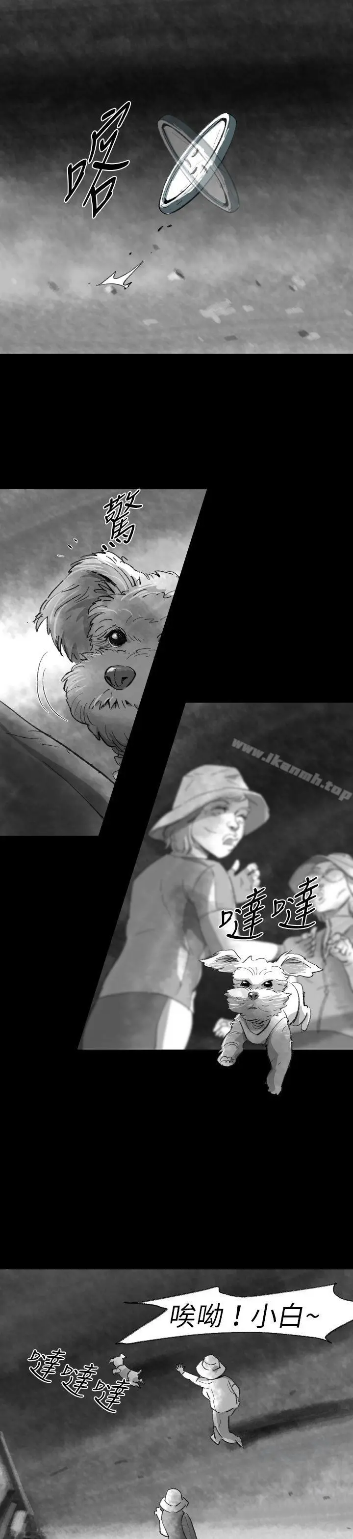 Video(完结)