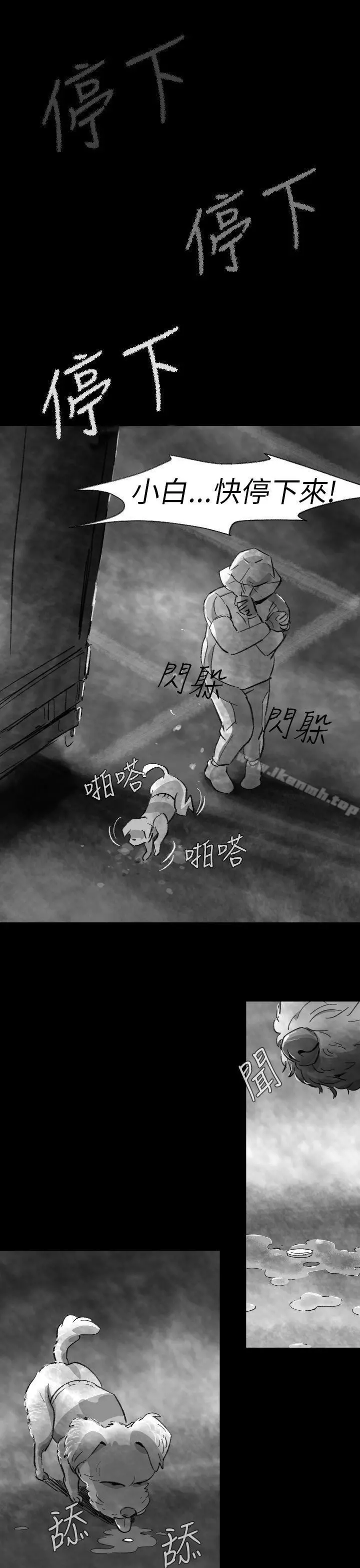 Video(完结)