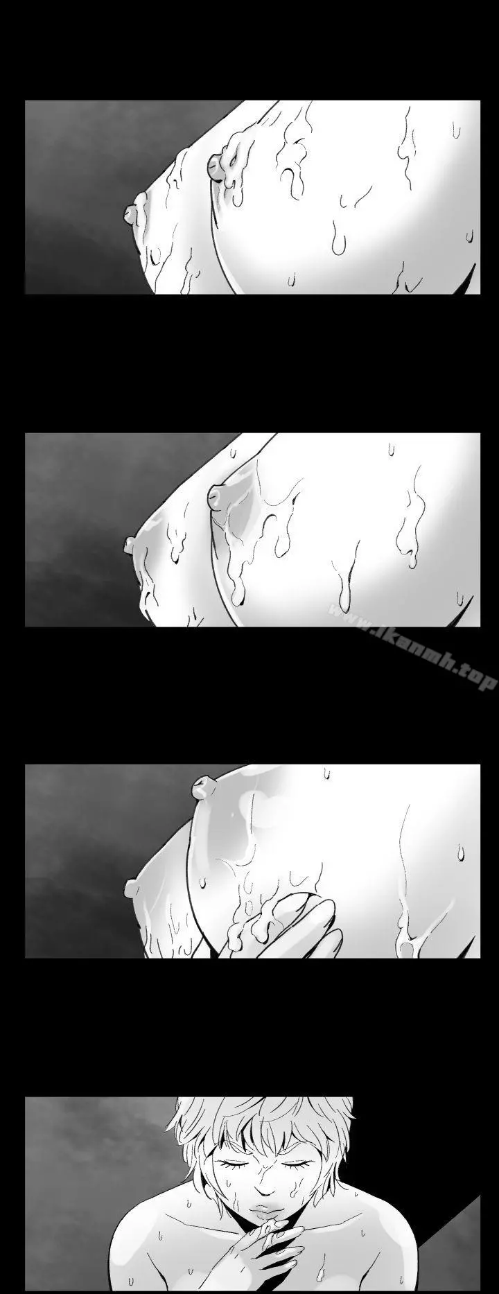 Video(完结)