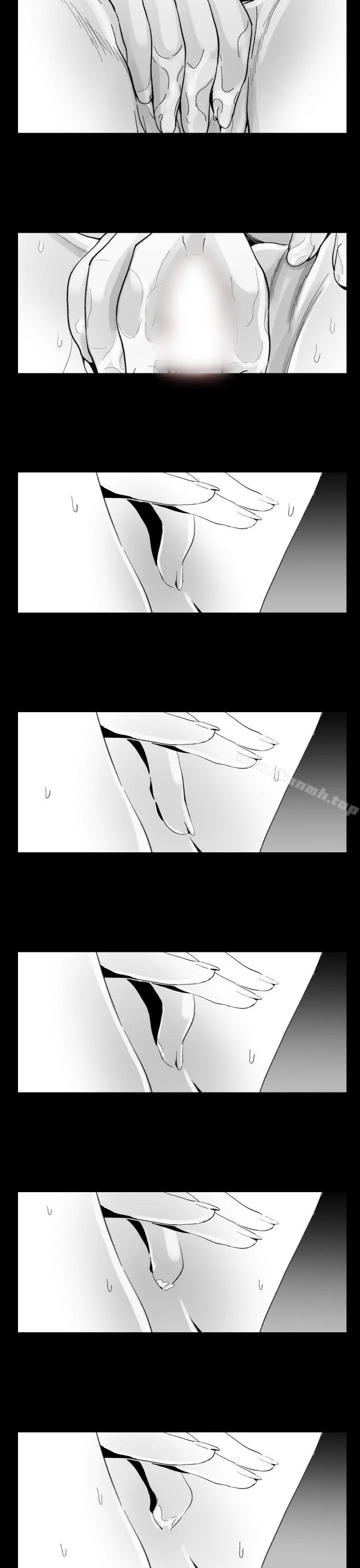 Video(完结)