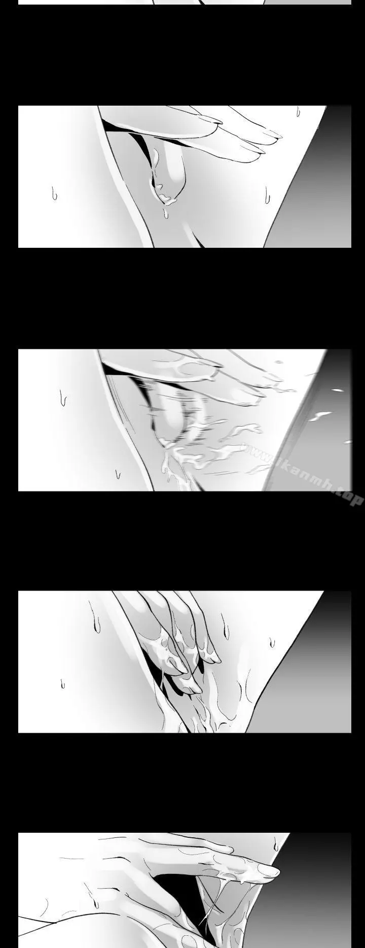 Video(完结)