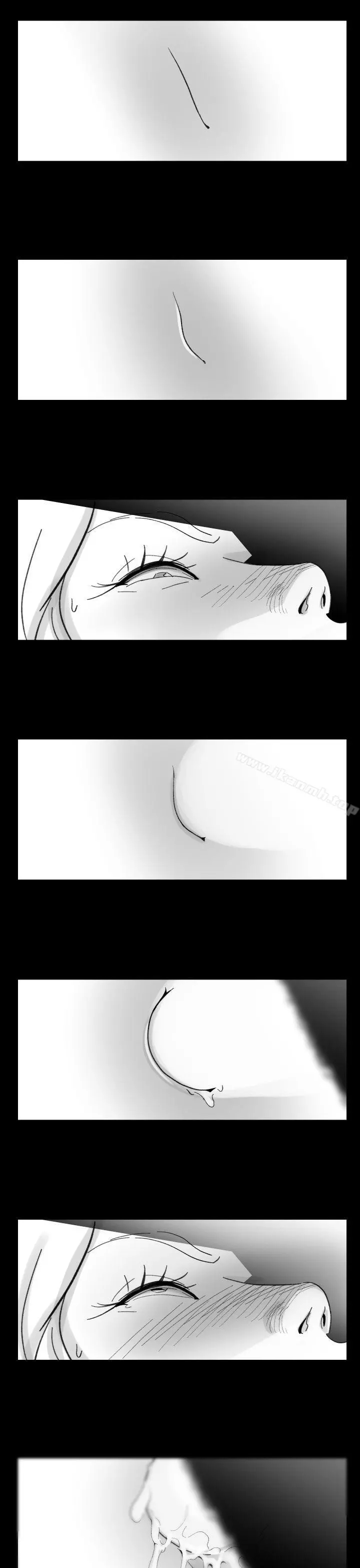 Video(完结)