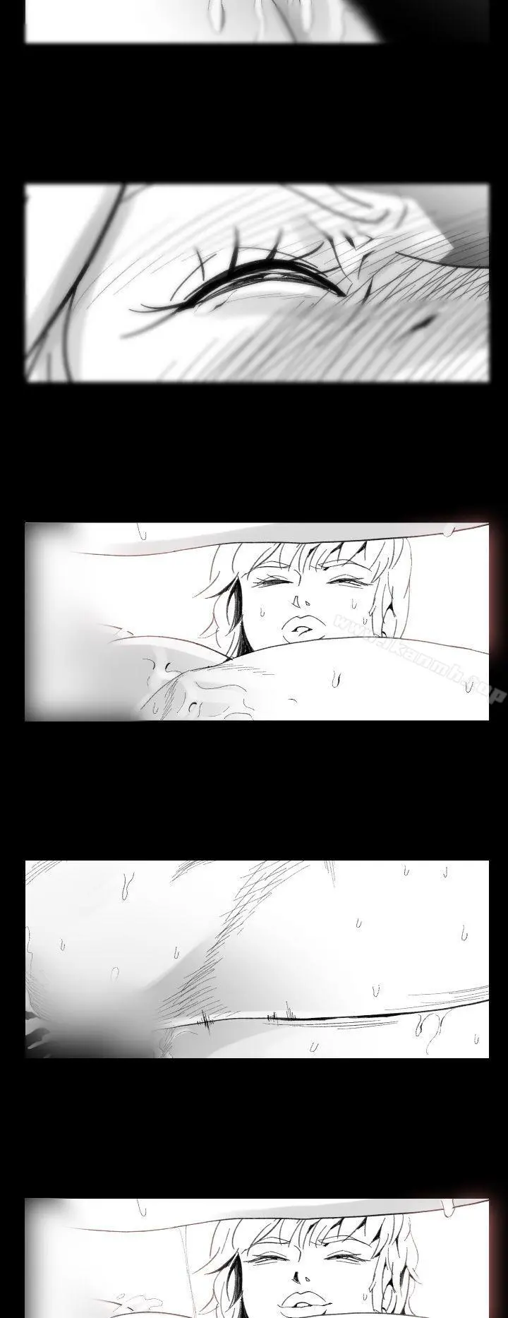 Video(完结)